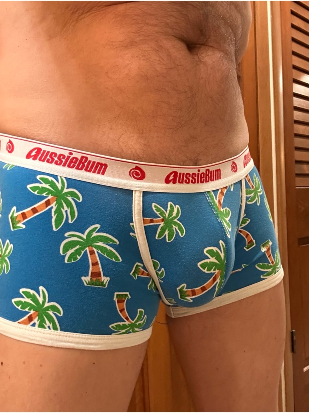 Aussiebum Men's Blue Palm-Print Boxer Briefs